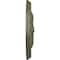 Ekena Millwork Amelia Ceiling Medallion (Fits Canopies up to 4 1/8"), Hnd-Painted Painted Turtle, 15 3/4"OD x 5/8"P CM16AMPTF - alternate 3